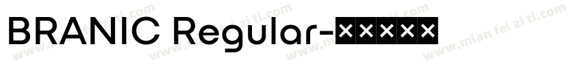BRANIC Regular字体转换